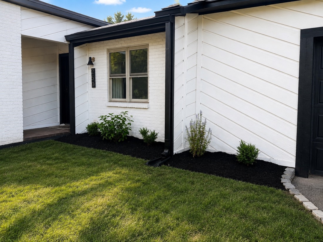 Right side garden bed by the entry with hydrangea, boxwood, and bluebeard in black mulch