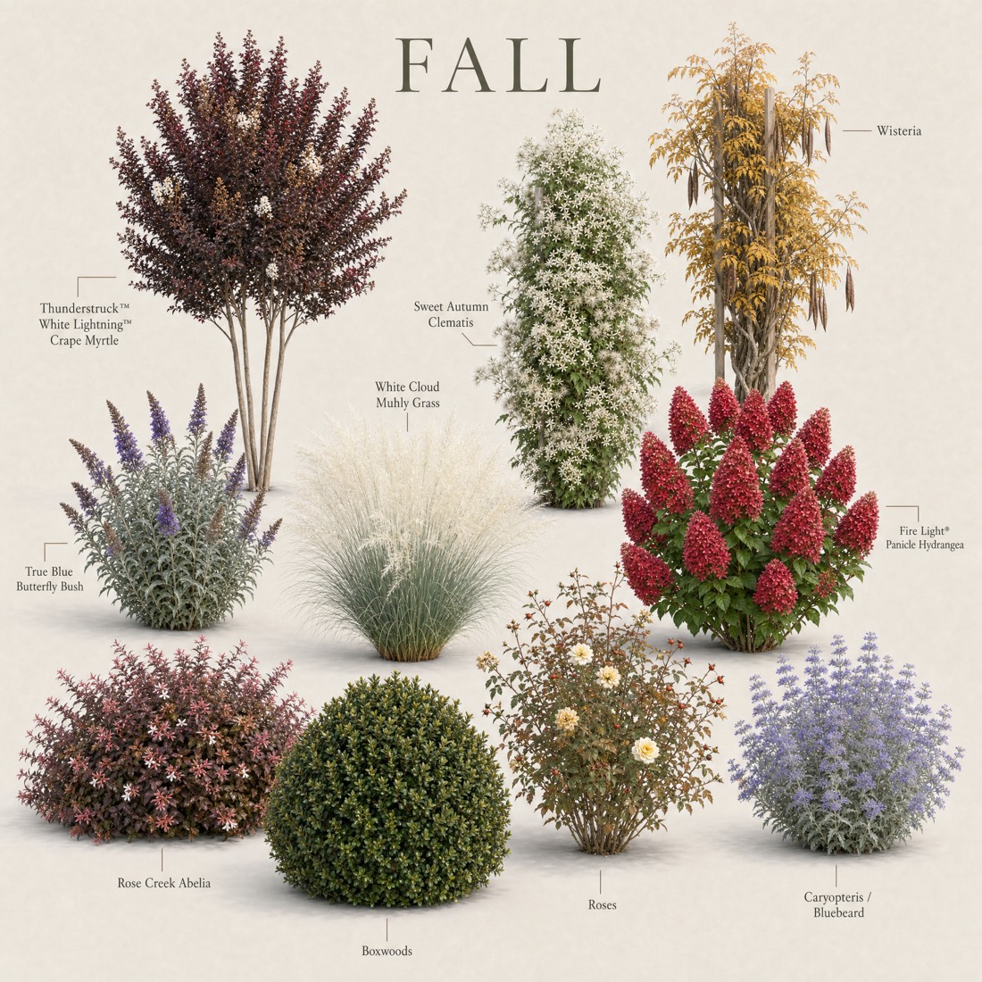 Every plant in the garden shown in its fall form